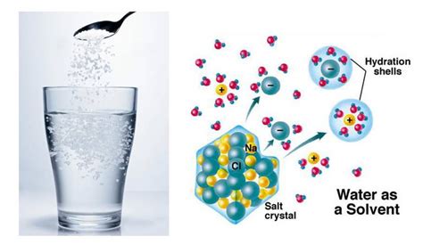 水化作用|科学网—金属离子在水溶液中的水化，水合与水解区别